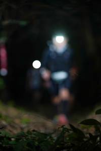 BIB: 
                            <button type="button" onclick="openModal(19403203)" class="btn btn-primary btn-sm float-right btn-popup" data-toggle="modal" data-target=".modal-high-quality">
                        <i class="fas fa-shopping-cart"></i> Add to Cart
                    </button>
                                            <button type="button" onclick="isThisMe(19403203, true)" class="btn btn-success btn-sm float-right btn-popup btn-isme hidden" data-toggle="tooltip" data-placement="bottom" title="นี่คือรูปของคุณใช่ไหม คลิกที่นี่เพื่อเอาเข้าอัลบั้ม">
                        <i class="fas fa-plus"></i> Add to album
                    </button>
                    <button type="button" onclick="isThisMe(19403203, false)" class="btn btn-warning btn-sm float-right btn-popup btn-isnotme hidden">
                        <i class="fas fa-ban"></i> Remove from album
                    </button>